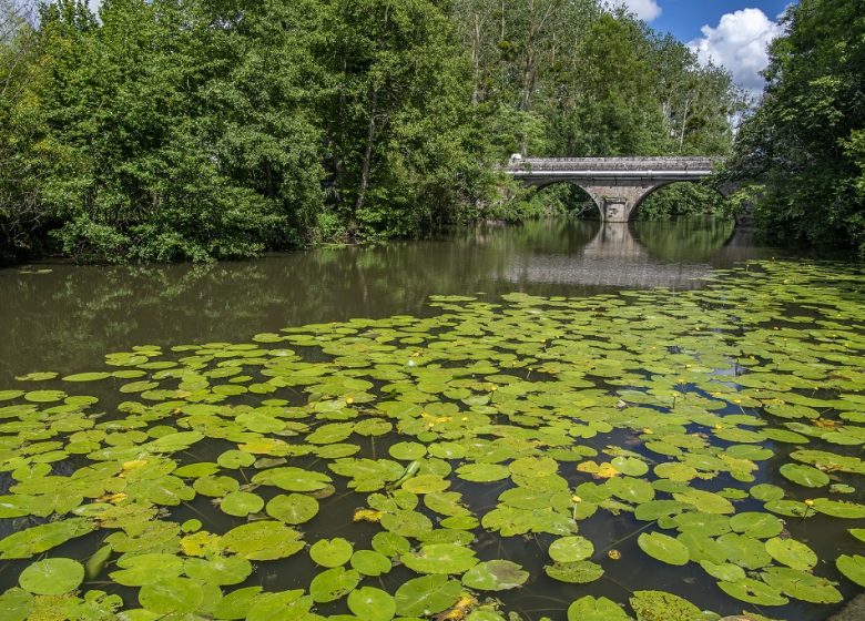 BENA – BALADE EN NATURE ACCOMPAGNÉE