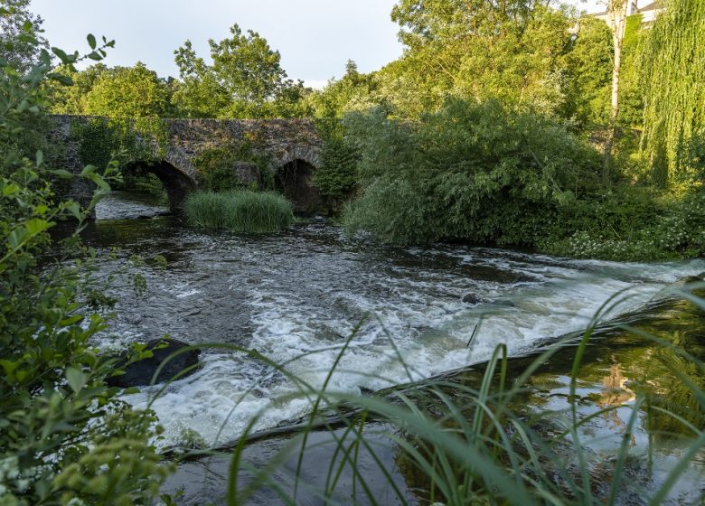 Pont médiéval de Bohardy