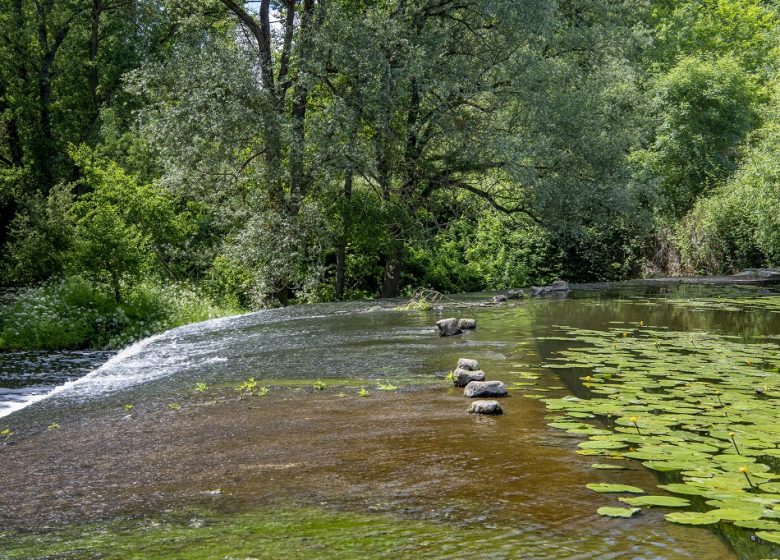 BENA – BALADE EN NATURE ACCOMPAGNÉE