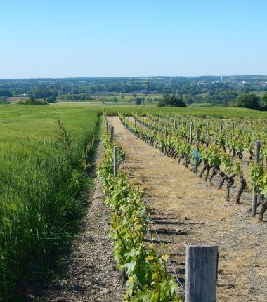 Le Mesnil-en-Vallée