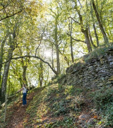 Vestiges de la Citadelle de Champtoceaux