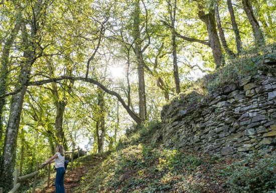 Vestiges de la Citadelle de Champtoceaux