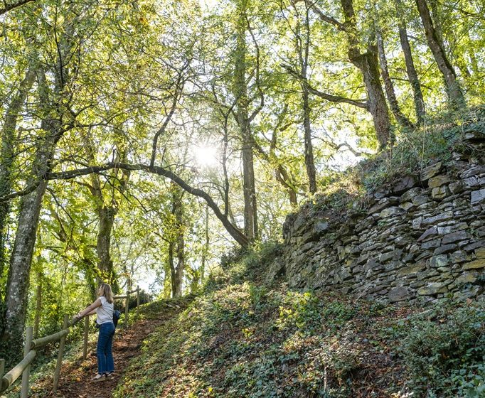 Vestiges de la Citadelle de Champtoceaux
