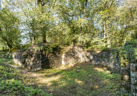 Vestiges de la Citadelle de Champtoceaux