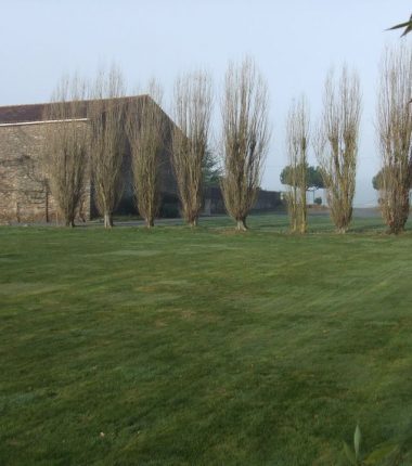 Salle de réception de la Tournerie