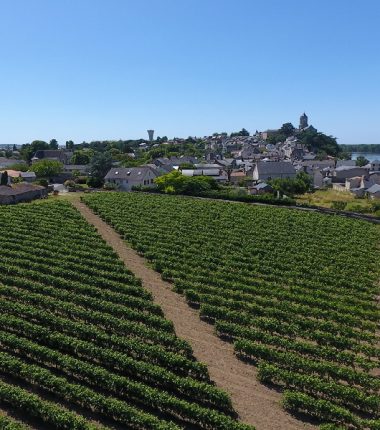 Clos de vigne de La Pierre à Fourneau