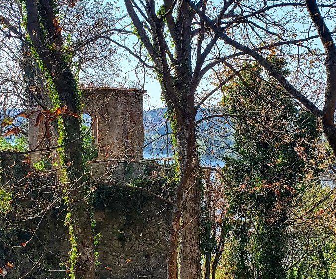 VISITE GUIDÉE DU PARC DU CHÂTEAU DE LA COLINIÈRE, SUR LES TRACES DE CHATEAUCEAUX