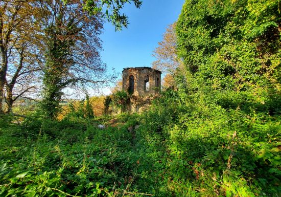 Visite guidée du parc du château de la Colinière, sur les traces de Chateauceaux