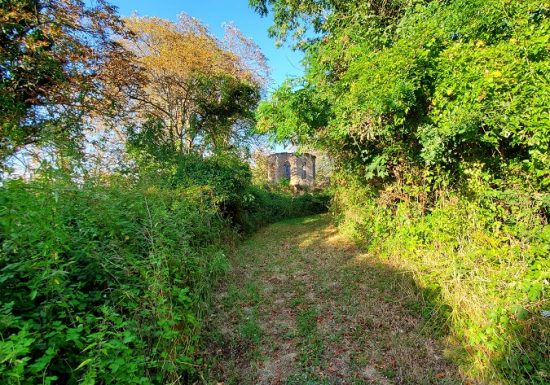 Visite guidée du parc du château de la Colinière, sur les traces de Chateauceaux