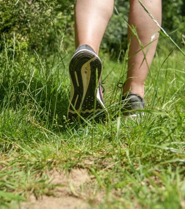 Nos belles randonnées entre Angers, Nantes et Cholet