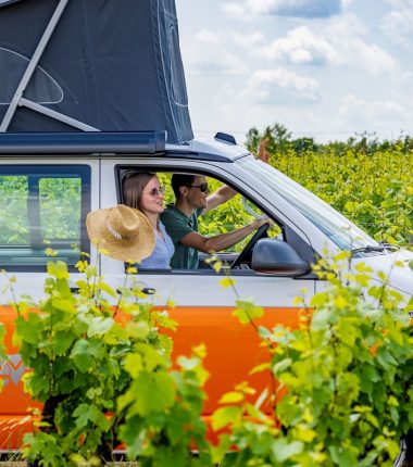 LA bonne idée week end : le vignoble d’Anjou