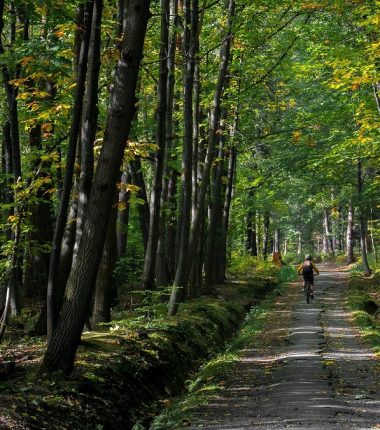 Nos randonnées VTT dans le Maine et Loire