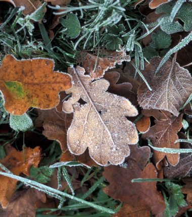 Top 10 des randonnées pour s&rsquo;évader en automne & hiver