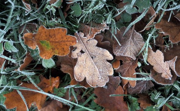 Top 10 des randonnées pour s’évader en automne & hiver