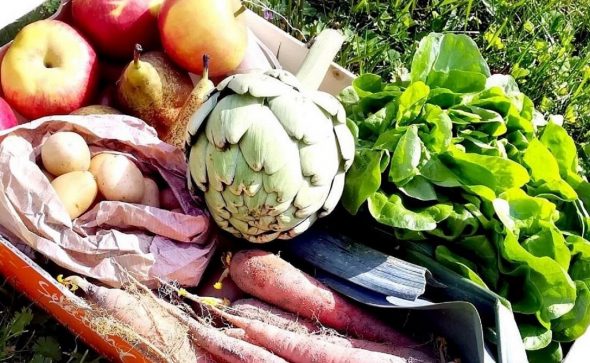 Proposer des services complémentaires à votre activité