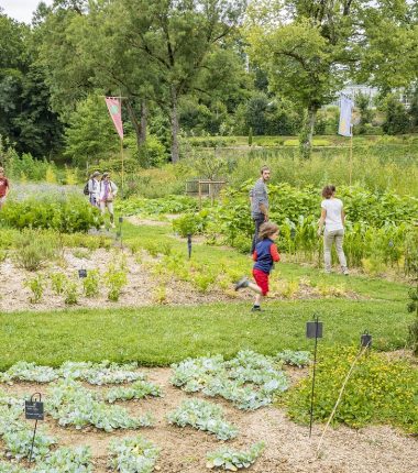 Un week end au vert au cœur des jardins d’Anjou