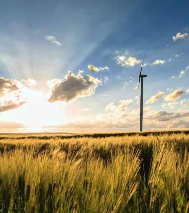 Qui peut m’accompagner concernant les questions d’économie d’énergies de ma structure ?