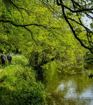 Une journée à Montrevault-sur-Èvre : Randonnée, dégustation et découverte d’un trésor du territoire