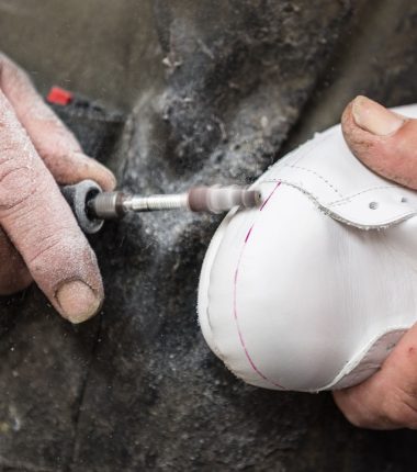 Je suis une entreprise des Mauges