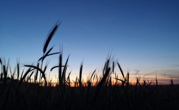 Portrait d’une assÔ : Un Village, Un Moulin