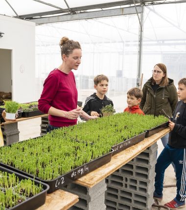 Création d’une visite pour mon entreprise : suivez les règles pour la réussir