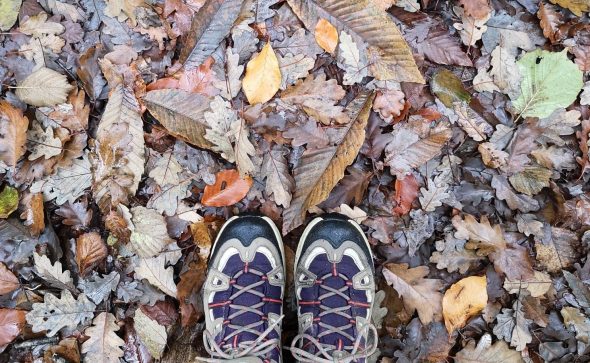 Nos plus belles randonnées d’automne au cœur de l’Anjou