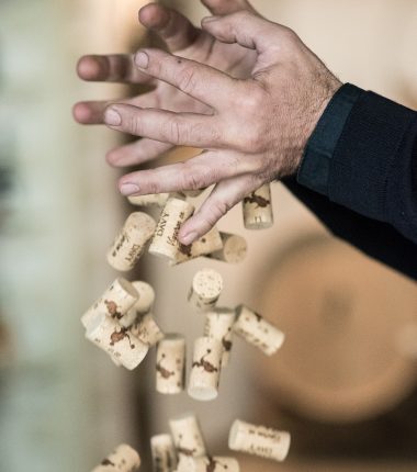 Portrait de passionnés : Vignoble Réthoré-Davy