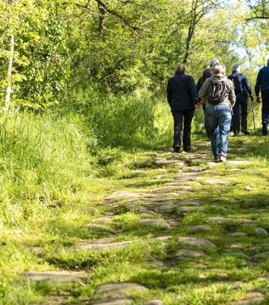 Un été local avec des balades historiques et gourmandes dans les Mauges