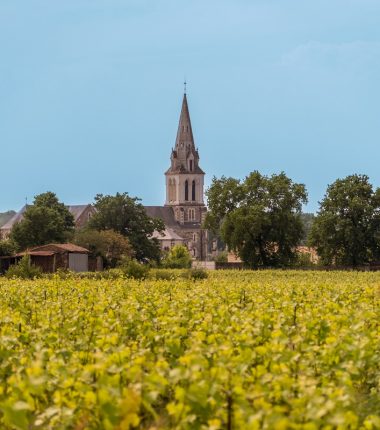 Randonnée et dégustation au coeur du Vignoble Nantais à Tillières