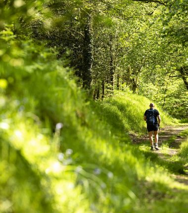 Randonnée et découverte d’un savoir-faire local à Sèvremoine