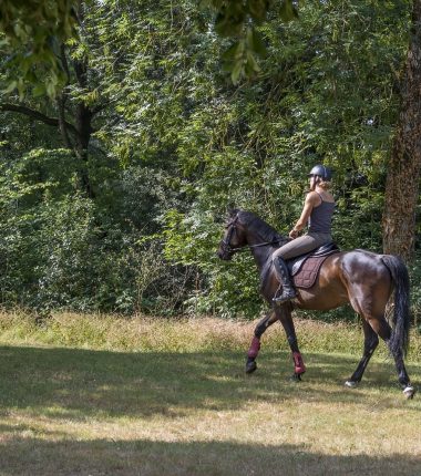 La Route d’Artagnan : un itinéraire équestre européen