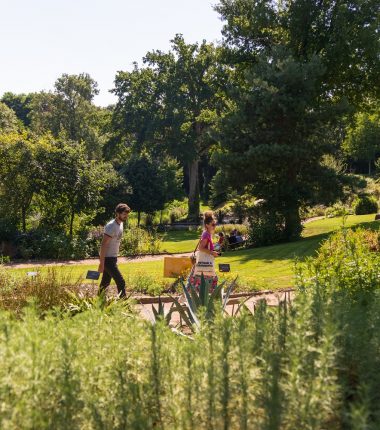 Jardins et parcs animaliers : Où profiter du grand air dans les Mauges ?