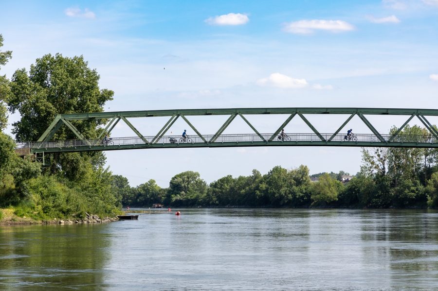 À vélo sur l’île de Chalonnes : cap sur la plus grande île fluviale d’Europe