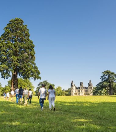 Nos journées groupe