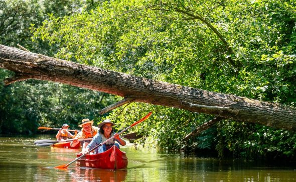 Tourisme durable : 3 idées concrètes pour vos structures