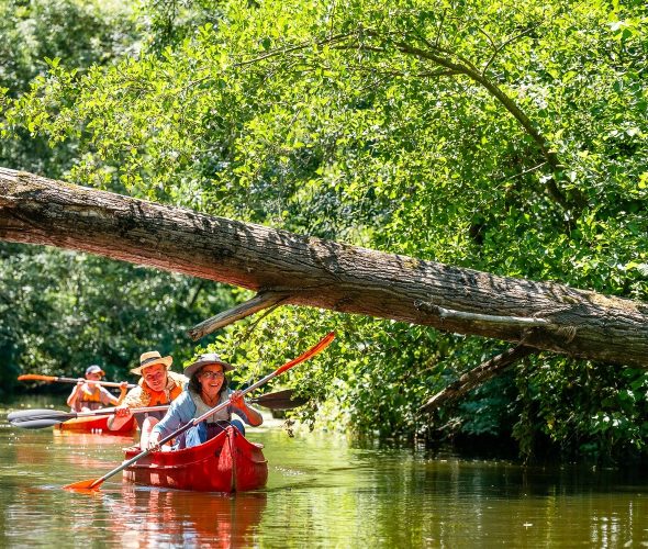 Tourisme durable : 3 idées concrètes pour vos structures