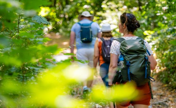 Nos meilleures idées pour se rafraîchir cet été dans les Mauges