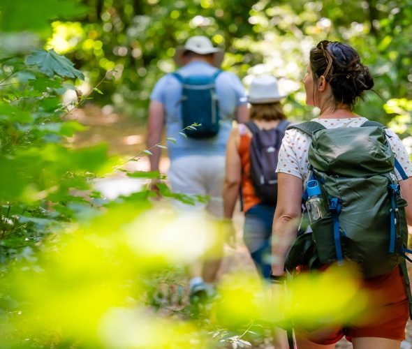 Nos meilleures idées pour se rafraîchir cet été dans les Mauges