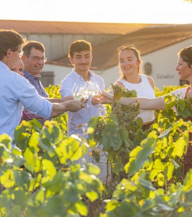Vignobles en Scène : des expériences insolites au cœur du vignoble