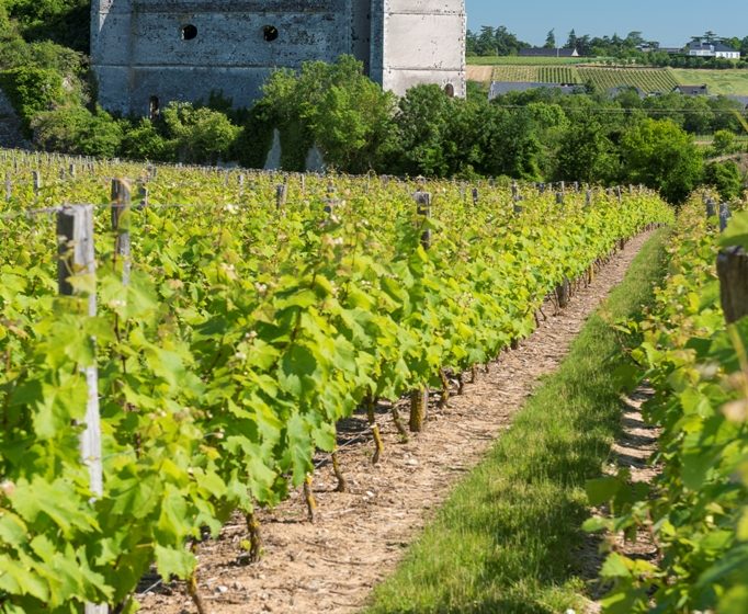 Sentier du ruisseau des Moulins