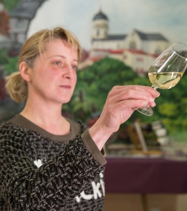 Domaine du Moulin Giron