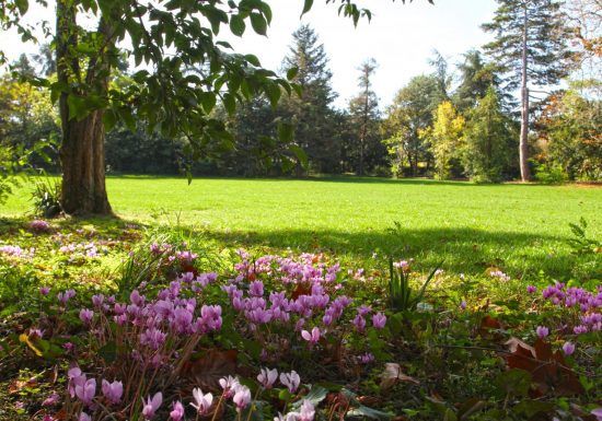 Balade historique « Quartier Saint-Pierre »