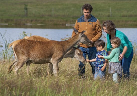EARL Jacquet – Les Cerfs de la Fardellière