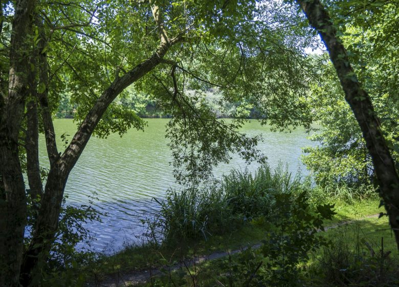 TENTES ÉQUIPÉES AU CAMPING DE COULVÉE