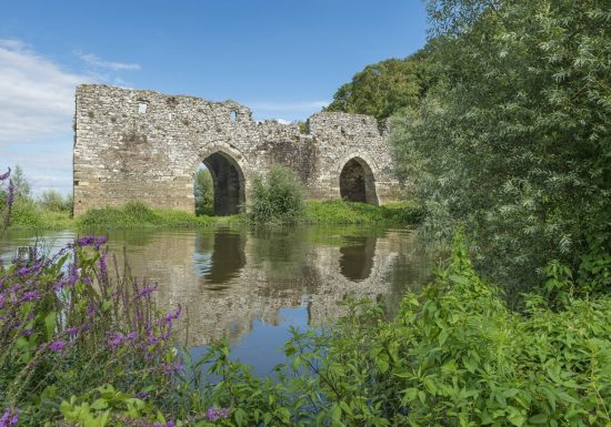 La Loire à Vélo, de Champtoceaux à Liré « Entre boire et histoire »