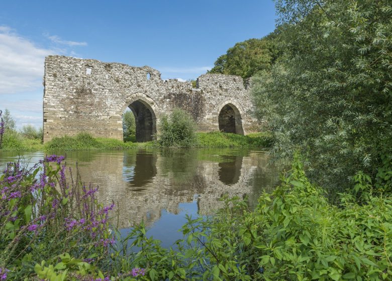 La Loire à Vélo, de Champtoceaux à Liré « Entre boire et histoire »