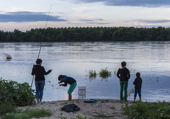Pêche en Loire à Saint-Florent-le-Vieil