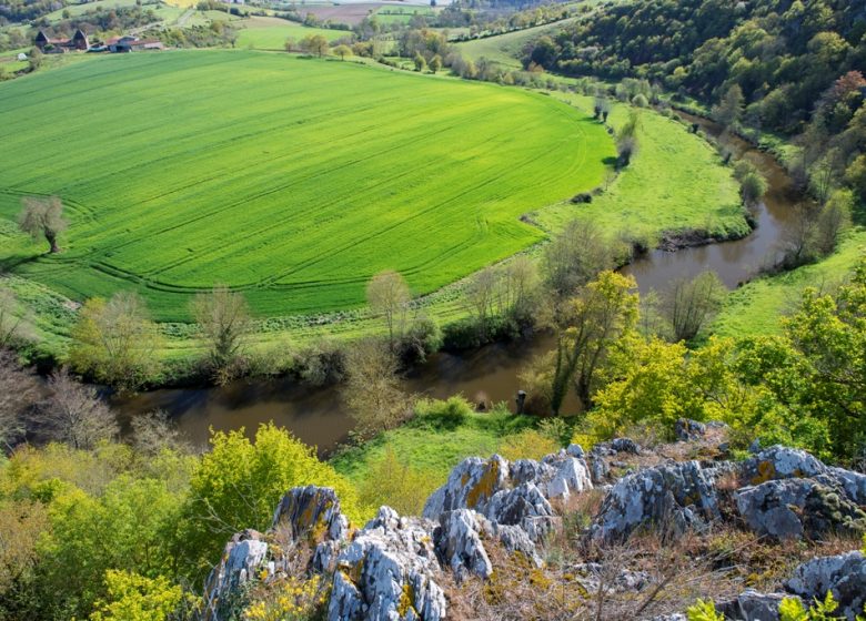 Balade « Découverte du site de Courossé »