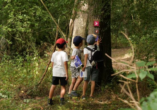 Chasse au trésor dans les vignes au Domaine des  Galloires