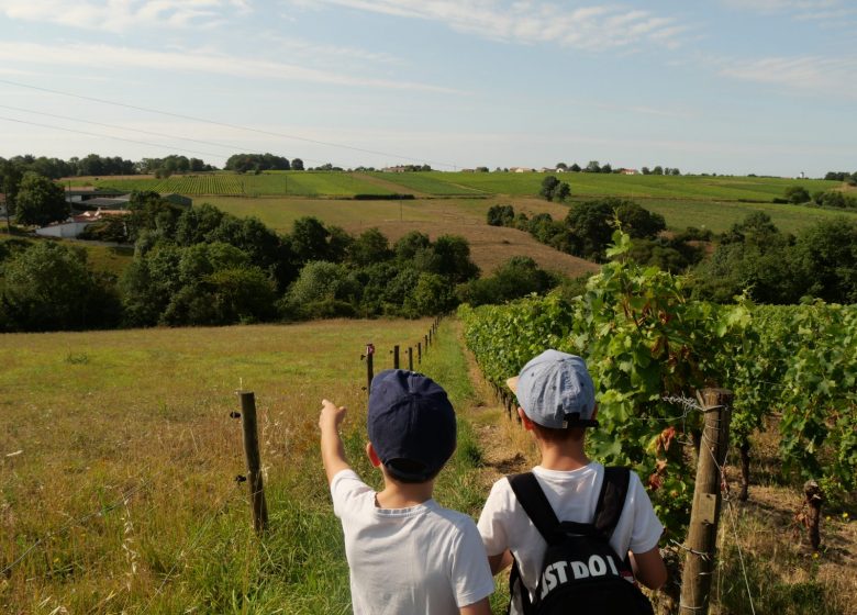 Chasse au trésor dans les vignes au Domaine des  Galloires